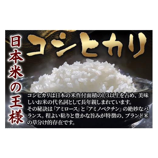 ふるさと納税 玄米 宮城県 栗原市 令和7年産・玄米 宮城県栗原市産 コシヒカリ 25kg (5kg×5袋) 米 こめ コシヒカリ 美味 おいしい 宮城 栗原 大場商店_3