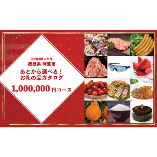 ふるさと納税 カタログ 徳島県 阿波市 ゆっくりえらべる カタログ 100万円 コース あとから選べる 鮮魚 肉 米 酒 定期便 スイーツ フルーツ 選べる ギフト セ…