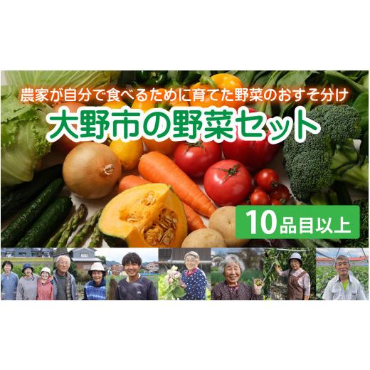 ふるさと納税 セット・詰合せ 福井県 大野市  先行予約 7月発送分 農家直送 「大野市の野菜セット」《農家が自分で食べるために育てた野菜のおすそ分け》 7月…_1
