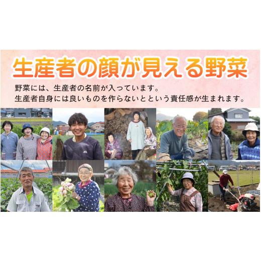ふるさと納税 セット・詰合せ 福井県 大野市  先行予約 7月発送分 農家直送 「大野市の野菜セット」《農家が自分で食べるために育てた野菜のおすそ分け》 7月…_5