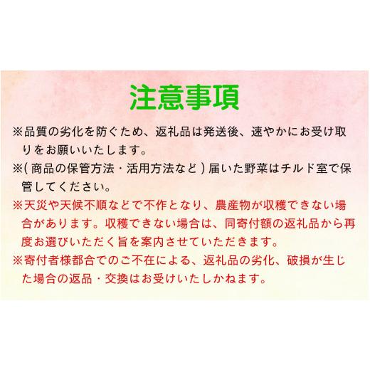 ふるさと納税 セット・詰合せ 福井県 大野市  先行予約 7月発送分 農家直送 「大野市の野菜セット」《農家が自分で食べるために育てた野菜のおすそ分け》 7月…_6