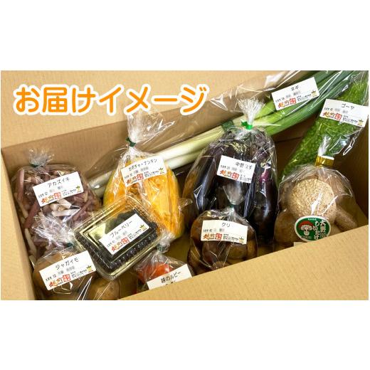 ふるさと納税 セット・詰合せ 福井県 大野市  先行予約 7月発送分 農家直送 「大野市の野菜セット」《農家が自分で食べるために育てた野菜のおすそ分け》 7月…_7