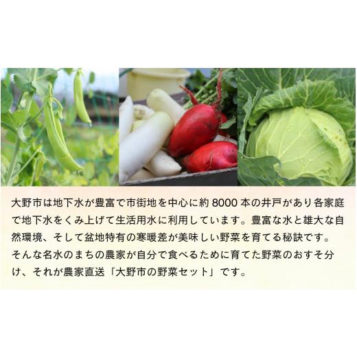 ふるさと納税 セット・詰合せ 福井県 大野市  先行予約 9月発送分 農家直送 「大野市の野菜セット」《農家が自分で食べるために育てた野菜のおすそ分け》 9月…_2