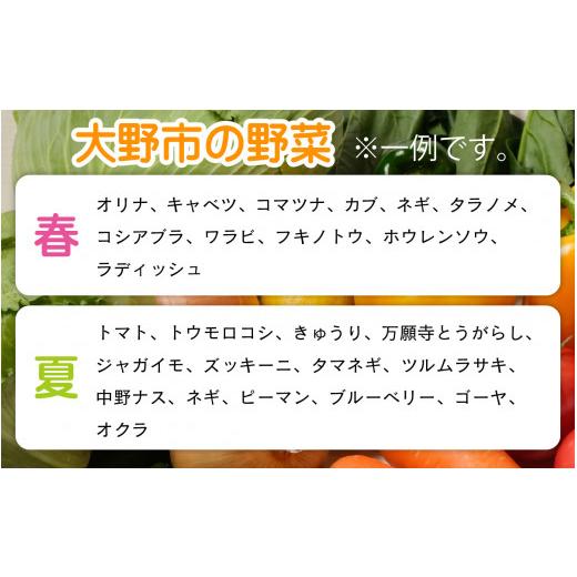 ふるさと納税 セット・詰合せ 福井県 大野市  先行予約 9月発送分 農家直送 「大野市の野菜セット」《農家が自分で食べるために育てた野菜のおすそ分け》 9月…_3