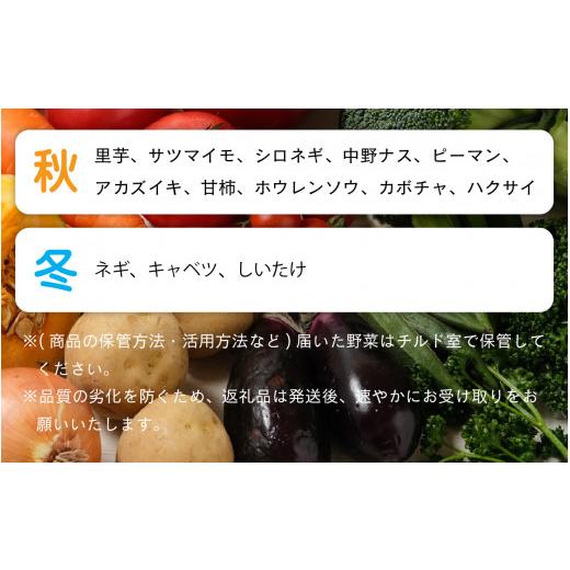 ふるさと納税 セット・詰合せ 福井県 大野市  先行予約 9月発送分 農家直送 「大野市の野菜セット」《農家が自分で食べるために育てた野菜のおすそ分け》 9月…_4