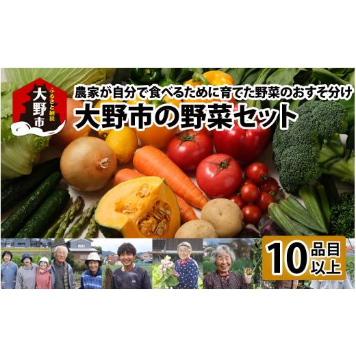 ふるさと納税 セット・詰合せ 福井県 大野市 先行予約 10月発送分 農家直送 「大野市の野菜セット」[農家が自分で食べるために育てた野菜のおすそ分け] 10…