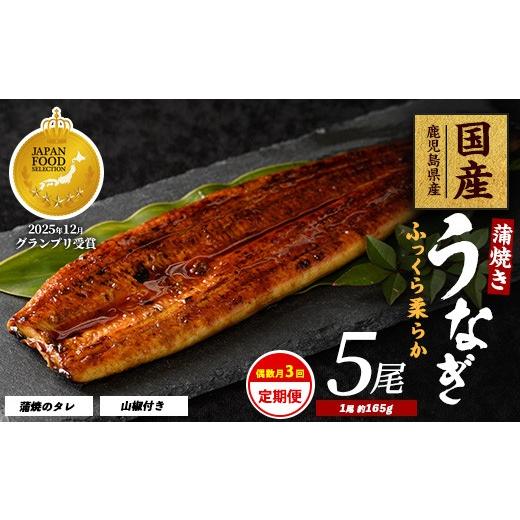 ふるさと納税 うなぎ 鹿児島県 指宿市 全3回定期便・偶数月お届け 鹿児島県産うなぎ蒲焼じっくり焼き約165g×5尾(大新/IBZ021-005) 鰻 蒲焼 国産 丑の日 う…