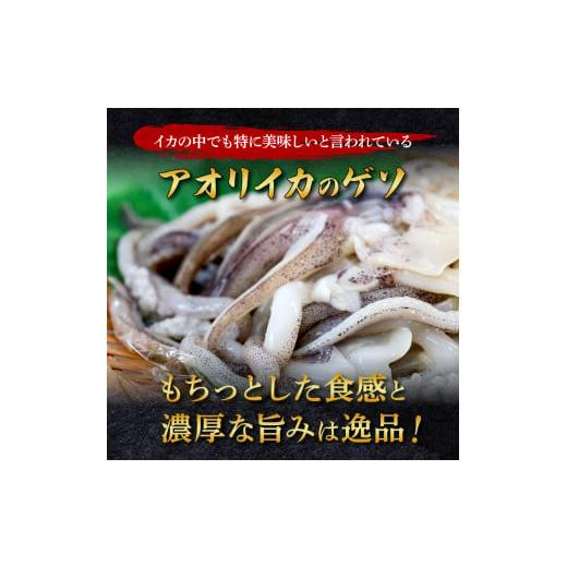 ふるさと納税 イカ 高知県 田野町 アオリイカ ゲソ 2kg 6ヶ月定期便 2キロ イカの王様 イカゲソ いか いかげそ イカ足 下足 冷凍イカ 唐揚げ 煮物 おつまみ お…の画像