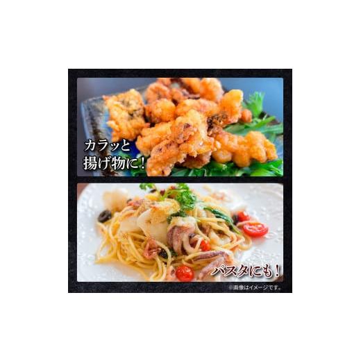 ふるさと納税 イカ 高知県 田野町 アオリイカ ゲソ 2kg 6ヶ月定期便 2キロ イカの王様 イカゲソ いか いかげそ イカ足 下足 冷凍イカ 唐揚げ 煮物 おつまみ お…の画像