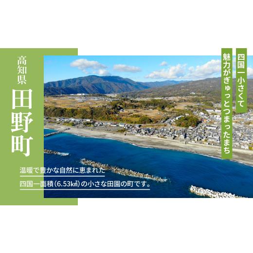 ふるさと納税 イカ 高知県 田野町 アオリイカ ゲソ 2kg 6ヶ月定期便 2キロ イカの王様 イカゲソ いか いかげそ イカ足 下足 冷凍イカ 唐揚げ 煮物 おつまみ お…の画像