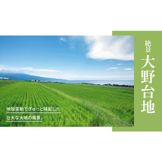 ふるさと納税 イカ 高知県 田野町 アオリイカ ゲソ 2kg 6ヶ月定期便 2キロ イカの王様 イカゲソ いか いかげそ イカ足 下足 冷凍イカ 唐揚げ 煮物 おつまみ お…の画像