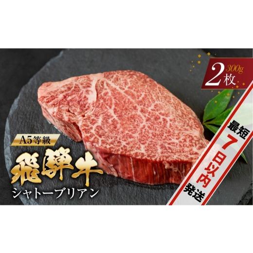 ふるさと納税 牛肉 ヒレ 岐阜県 本巣市 家計応援価格実施中 期間限定 A5等級 飛騨牛 シャトーブリアンステーキ 2枚 |牛肉 肉 和牛 国産牛 牛肉 肉 ステーキ ヒ…