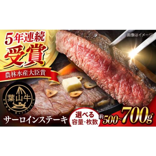 ふるさと納税 牛肉 サーロイン 神奈川県 横須賀市 数量限定20セット サーロインステーキ計約500g(約250g×2枚) ステーキ すてーき ステーキ肉 すてーき肉 …