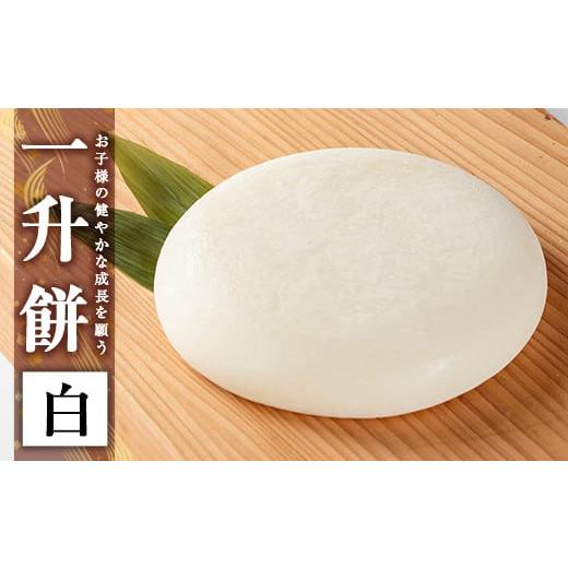 ふるさと納税 米・パン 餅 鹿児島県 姶良市 a952-A 一升餅(白) ちろす家 姶良市 おもち 餅 背負い餅 餅踏みお祝い 1歳 男の子 女の子 誕生日 ベビー イベント …