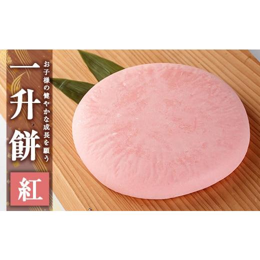 ふるさと納税 米・パン 餅 鹿児島県 姶良市 a952-B 一升餅(紅) ちろす家 姶良市 おもち 餅 背負い餅 餅踏みお祝い 1歳 男の子 女の子 誕生日 ベビー イベント …