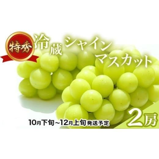 ふるさと納税 ぶどう マスカット 長野県 長野市 J1126 長野市産 冷蔵シャインマスカット 特秀 2房 2025年10月下旬以降出荷分 (タマファーム)