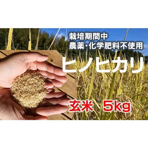 ふるさと納税 玄米 大分県 臼杵市 栽培期間中農薬化学肥料不使用 きれいな山水で育てたヒノヒカリ 玄米(5kg) 令和7年度 新米 臼杵市産