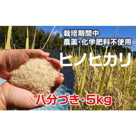 ふるさと納税 米 ヒノヒカリ 大分県 臼杵市 栽培期間中農薬化学肥料不使用 きれいな山水で育てたヒノヒカリ 八分づき(5kg) 令和7年度 新米 臼杵市産