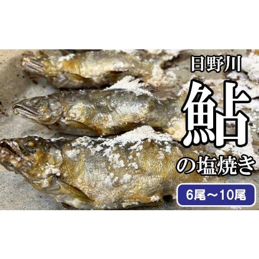 ふるさと納税 川魚 あゆ 鳥取県 日吉津村 鮎の塩焼き