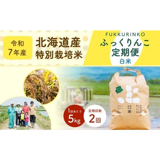 ふるさと納税 米 北海道 深川市 2ヶ月定期便 北海道産 特別栽培米ふっくりんこ(白米) 5kg×2回 合計10kg お米 米 こめ コメ 白米 ご飯 ごはん ふっくりんこ…