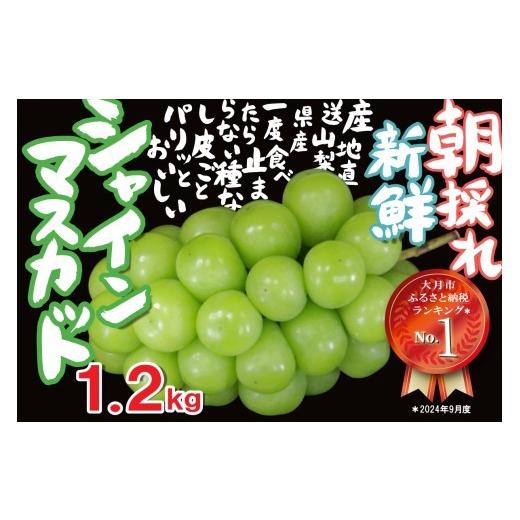 ふるさと納税 ぶどう マスカット 山梨県 大月市 2026年収穫分先行予約 シャインマスカット 1.2kg ＼山梨県産 国産 / 特選 おすすめ 人気 予約 ギフト 産地直…