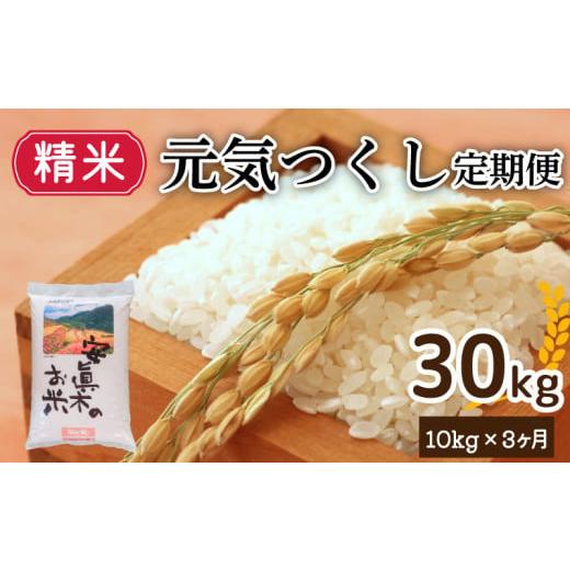 ふるさと納税 米 福岡県 川崎町 元気つくし 30kg(精米) 定期便 計三回 米 ブランド米 福岡県産米 産地直送 お米 おこめ こめ ゴハン メシ 飯 夕ご飯 美味し…