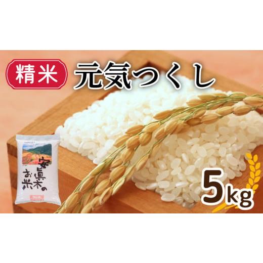 ふるさと納税 雑穀 福岡県 川崎町 元気つくし 精米 5kg (福岡県認定地域資源) 米 5kg 人気 ブランド米 福岡県産米 産地直送 お米 おこめ こめ ゴハン メシ 飯 …