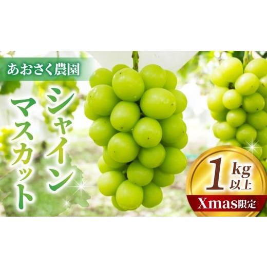 ふるさと納税 果物類 ぶどう 長野県 東御市 Xmas限定 50セット限り シャインマスカット2〜3房(1kg以上) 12月21日、22日発送|あおさく農園