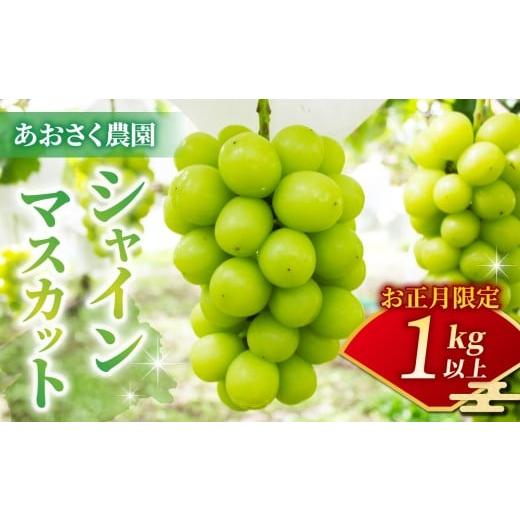 ふるさと納税 果物類 ぶどう 長野県 東御市 お正月限定 50セット限り シャインマスカット2〜3房(1kg以上) 12月28日、29日、30日発送|あおさく農園