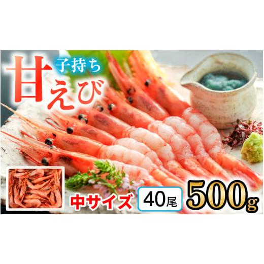 ふるさと納税 エビ あまエビ 福井県 小浜市 子持ち甘えび 約40尾 ×1箱(500g) 配送不可地域:北海道・沖縄・離島