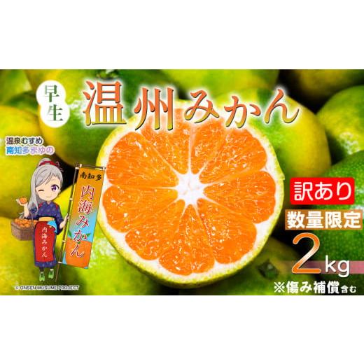 ふるさと納税 果物類 みかん 愛知県 南知多町 訳あり 温州みかん 約2kg 早生 南知多町産 みかん 蜜柑 柑橘 果物 フルーツ デザート アレンジ 人気 おすすめ 愛…