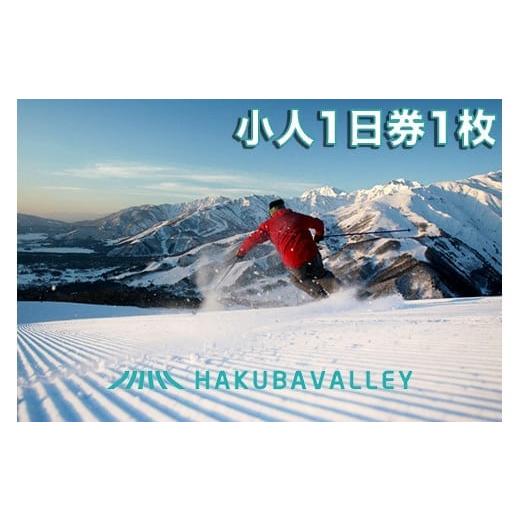 ふるさと納税 スキーチケット 長野県 白馬村 HAKUBA VALLEY 10 スキー場共通リフト券 小人1日券1枚 /長野県白馬村 北アルプス 白馬バレー 全10スキー場 …