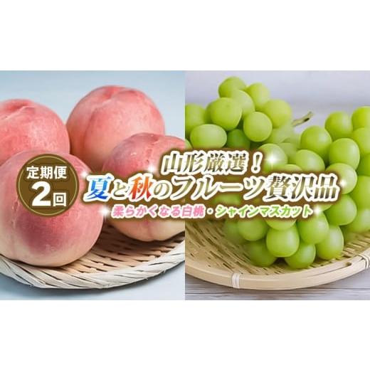 ふるさと納税 もも 山形県 山形市 定期便2回 山形厳選 夏と秋のフルーツ贅沢品(柔らかくなる白桃、シャインマスカット) 令和8年産先行予約 FS25-643 くだもの…