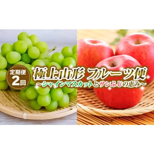 ふるさと納税 ぶどう マスカット 山形県 山形市 定期便2回 極上山形フルーツ便〜シャインマスカットとサンふじの恵み〜 令和8年産先行予約 FS25-642 くだもの…