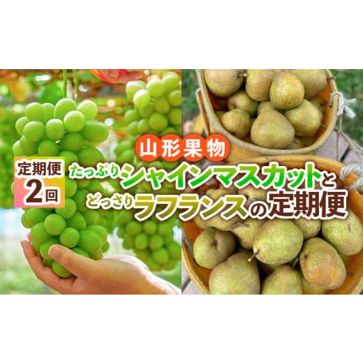 ふるさと納税 ぶどう マスカット 山形県 山形市 定期便2回 山形果物 たっぷりシャインマスカットとどっさりラフランスの定期便 令和8年産先行予約 FS24-767 …
