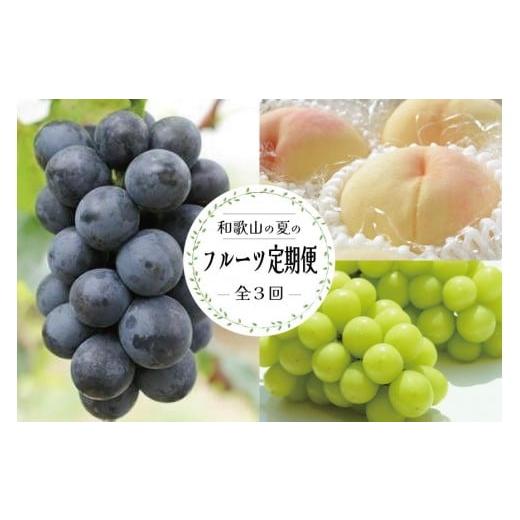 ふるさと納税 果物の詰合せ 和歌山県 高野町 定期便全3回 7月・8月・9月発送 和歌山のフルーツをお届け(桃・たねなしピオーネ・シャインマスカット)