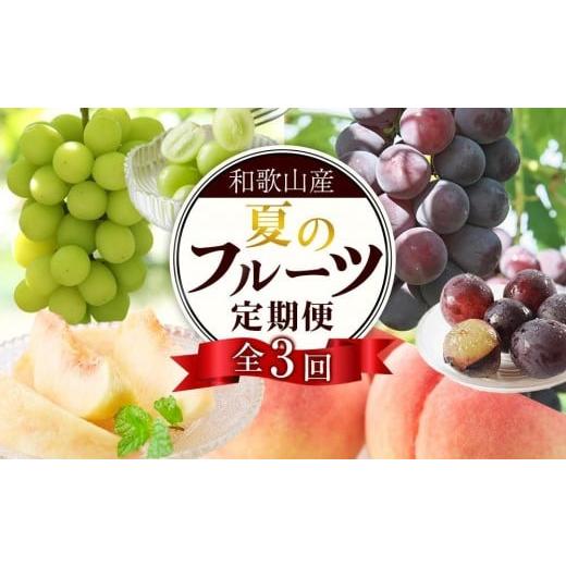 ふるさと納税 果物の詰合せ 和歌山県 那智勝浦町 定期便全3回 7月・8月・9月発送 和歌山のフルーツをお届け(桃・たねなしピオーネ・シャインマスカット) TM1…