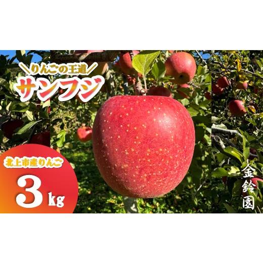 ふるさと納税 りんご 岩手県 北上市 ＼ 予約受付 11月下旬発送予定 / 北上市産 りんご サンフジ 厳選玉 3キロ (約8〜12玉) 贈答用 林檎 リンゴ サンふじ 3kg …
