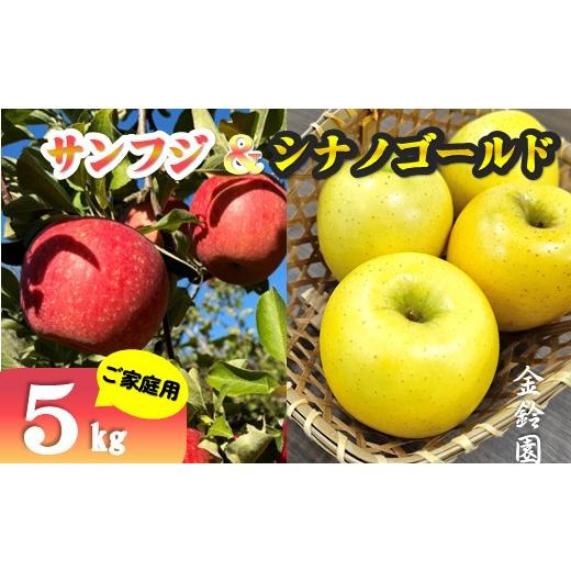 ふるさと納税 りんご 岩手県 北上市 ＼ 予約受付 26年11月下旬 発送開始予定 / 北上市産 りんご サンフジ & シナノゴールド 家庭用 詰め合せ 5キロ セット (…