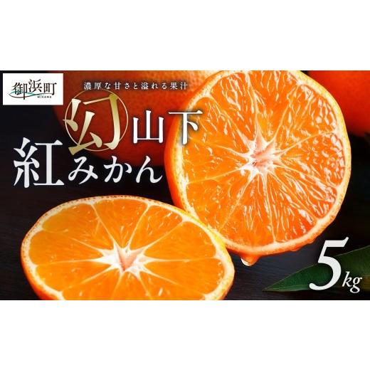 ふるさと納税 果物類 みかん 三重県 御浜町 辻本農園の山下紅みかん5キロ 期間限定 数量限定 まぼろし 幻 高級 甘い 果物 ミカン フルーツ 柑橘 三重県 御浜町…