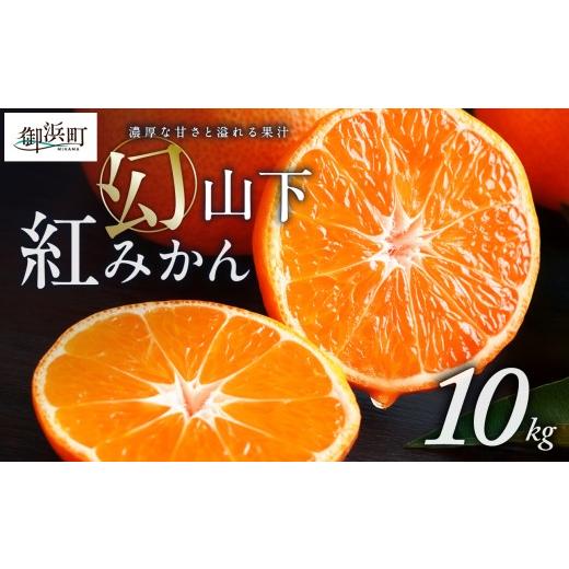 ふるさと納税 果物類 みかん 三重県 御浜町 辻本農園の山下紅みかん10キロ 期間限定 数量限定 まぼろし 幻 高級 甘い 果物 ミカン フルーツ 柑橘 三重県 御浜…