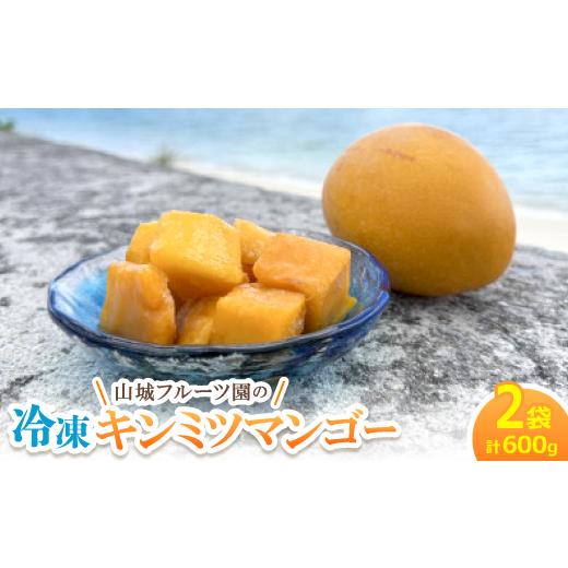 ふるさと納税 マンゴー 沖縄県 今帰仁村 今帰仁産 山城フルーツ園の