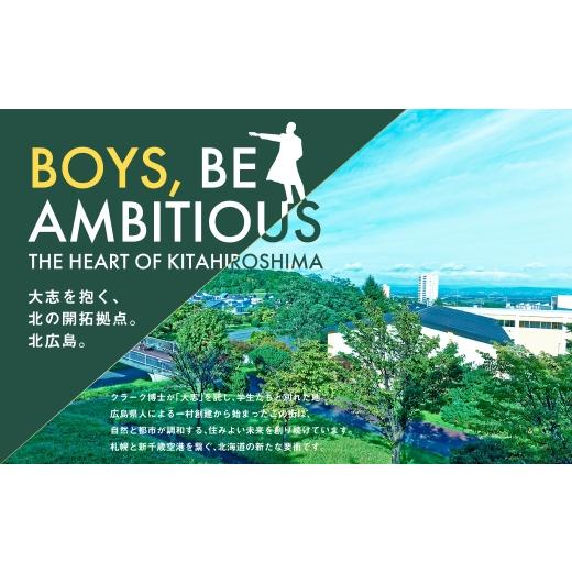 ふるさと納税 御菓子 赤ちょうちん 北海道 北広島市  1ヶ月毎12回定期便 カムカムおこめチップス（しお） ファスナー付袋印字機 計36個 （3個×12回） 御菓子 御菓子 ス…