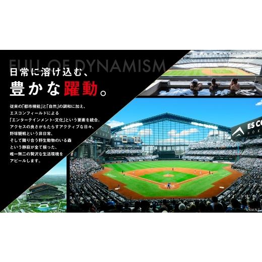 ふるさと納税 御菓子 赤ちょうちん 北海道 北広島市  1ヶ月毎12回定期便 カムカムおこめチップス（しお） ファスナー付袋印字機 計36個 （3個×12回） 御菓子 御菓子 ス…