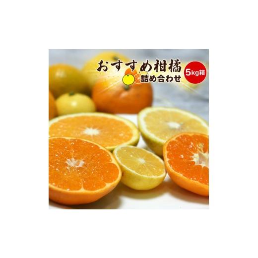 ふるさと納税 みかん・柑橘類 神奈川県 小田原市 先行予約 4月おすすめ柑橘詰め合わせ5kg箱 出荷開始:2026年4月5日~4月25日 フルーツ 神奈川県 小田原市 4月