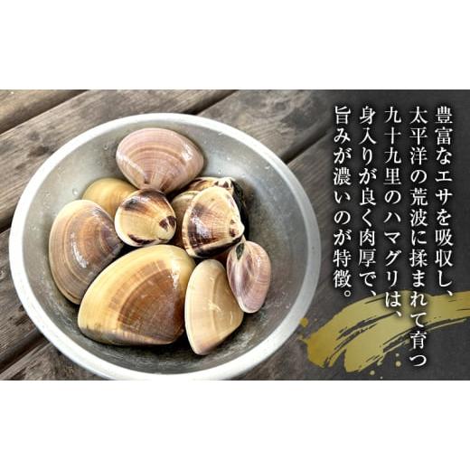 ふるさと納税 しじみ・あさり・蛤 蛤（はまぐり） 千葉県 九十九里町 はまぐり　1キロ〜 ハマグリ 蛤 魚介類 海の幸 海鮮 焼き蛤 お吸い物 酒蒸し バーベキュ…_3