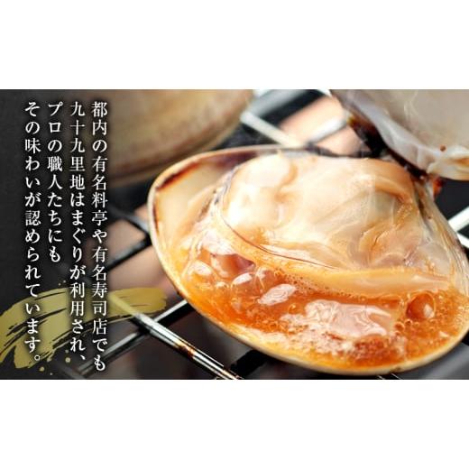 ふるさと納税 しじみ・あさり・蛤 蛤（はまぐり） 千葉県 九十九里町 はまぐり　1キロ〜 ハマグリ 蛤 魚介類 海の幸 海鮮 焼き蛤 お吸い物 酒蒸し バーベキュ…_4