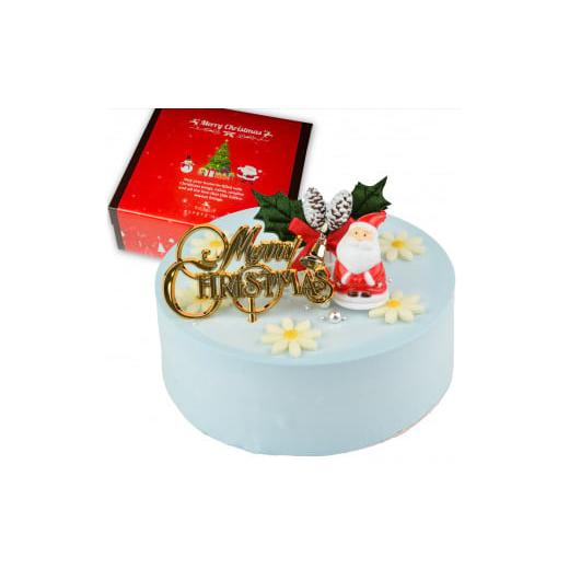 ふるさと納税 ケーキ・カステラ 愛媛県 松山市 着日指定可 クリスマスケーキ センイルケーキ 4号 直径13.5cm 2人〜4人分 285g クリスマス飾り付 パステルブル…