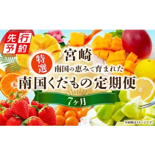 ふるさと納税 いちご 宮崎県 宮崎市 [2026年発送先行予約]特選南国くだもの7ヶ月定期便 フルーツ定期便 果物定期便 定期便 定期 旬のフルーツ 旬の果物 果物…