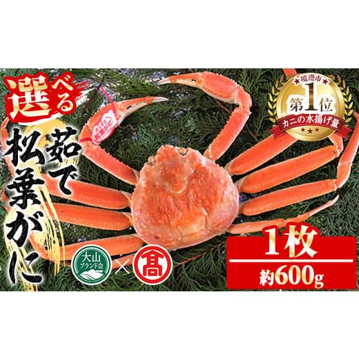 ふるさと納税 カニ 松葉ガニ 鳥取県 境港市 2025年11月〜2026年3月上旬発送予定 茹で松葉がに(1枚・約600g) T-DI3 大山ブランド会 約600g(1枚)